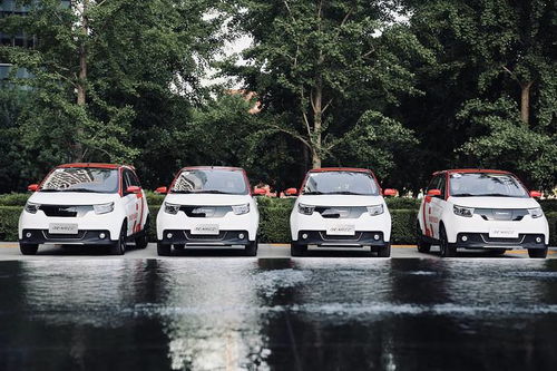 電咖汽車突圍新賽道 年度實現規模化SUV銷售成為亮點，重磅新品有望明年登場